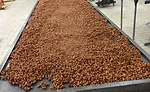 French chocolate company Salpa