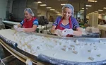 Hammond's Candies