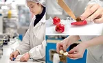 Laica candy manufacturer
