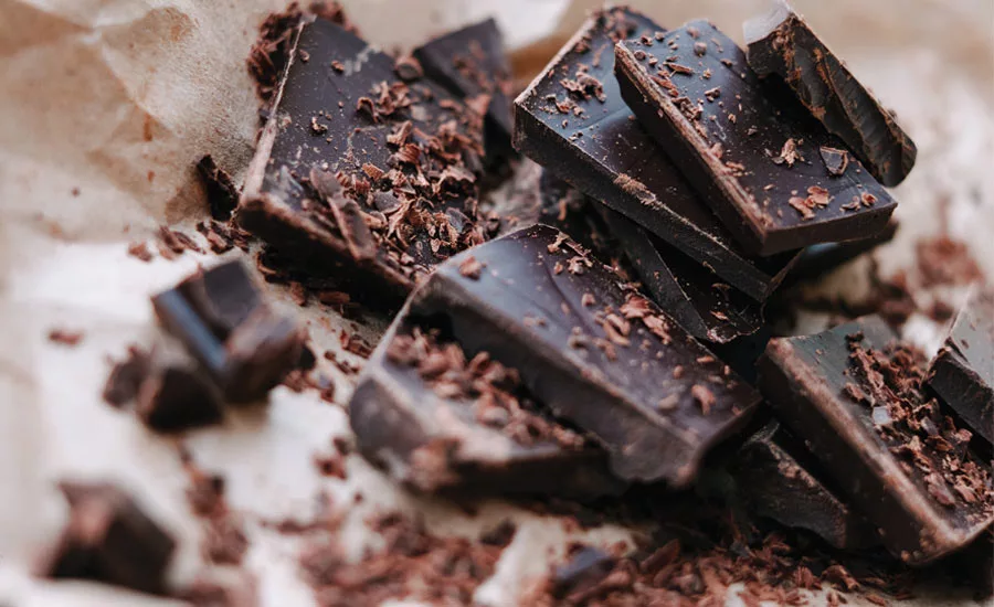 cocoa and chocolate suppliers