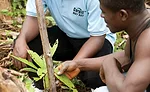 cocoa and chocolate suppliers