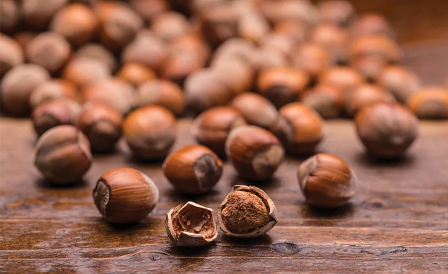 Buhler hazelnuts