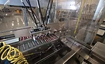 Nellson Nutraceutical