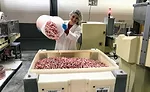 Smarties Candy Co.