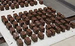 Gertrude Hawk Chocolates