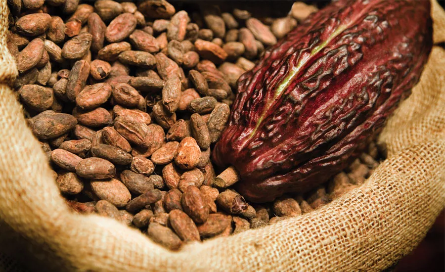 cocoa blockchain