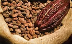 cocoa blockchain