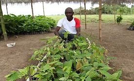 farmer and seedlings