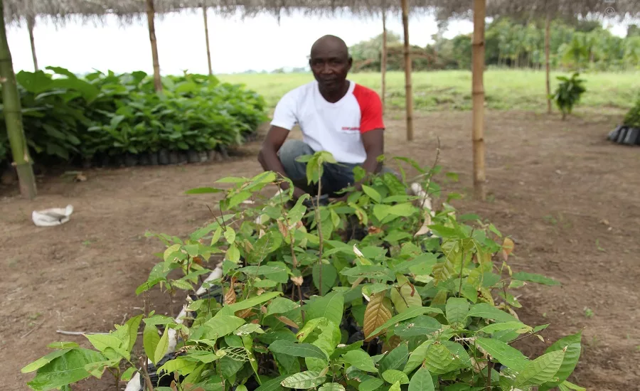 farmer and seedlings