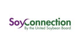 Soy Connection Logo