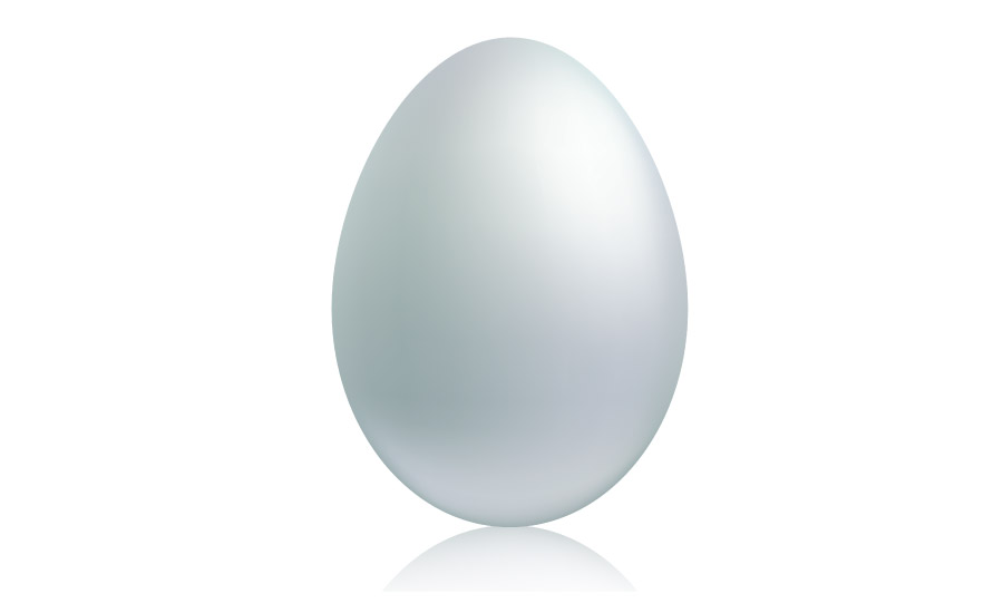 Egg_900x550