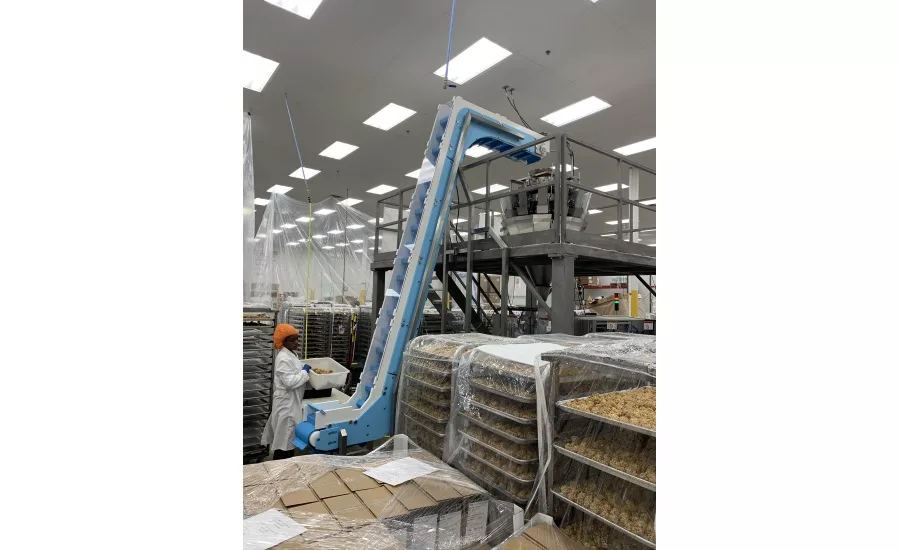 Case study: Two gluten-free brothers increase productivity with two easy-to-clean conveyors