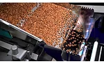 Case study: TOMRA 5C delivers on promise of added value and efficiency for The Almond Company