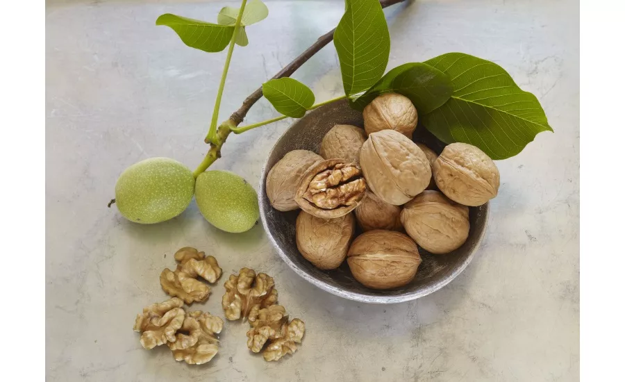 Sacramento Valley Walnut Growers invest to meet uppermost quality and safety standards