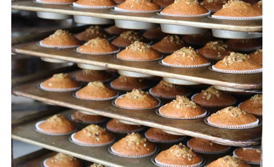 Stealth Kit inspects thousands of miles of doughnuts per year, Fortress Technology