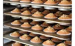 Stealth Kit inspects thousands of miles of doughnuts per year, Fortress Technology