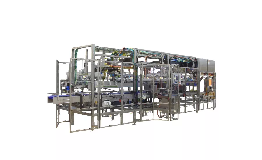 Schneider vertical case packer