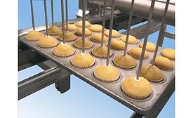 Hinds-Bock injecting depositors