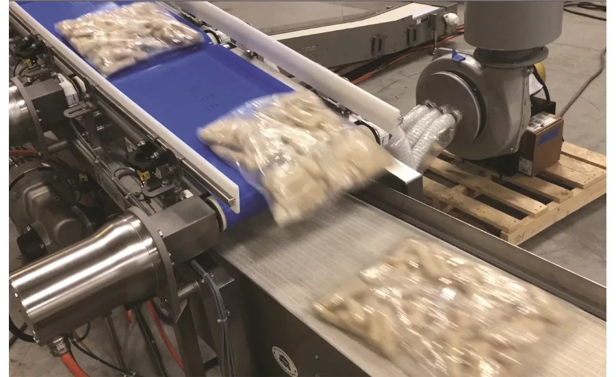 Multi-Conveyor Vertical 2-to-1 "Bag Inject" Conveyor