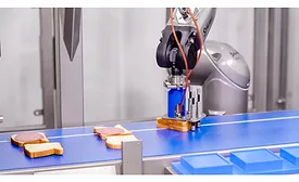 Grote Company Sandwich Assembly Robotics