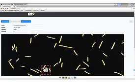 Key Technology Introduces Enhanced FMAlert for VERYX Digital Sorters 