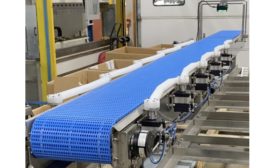 Eaglestone Equipment TrackIQ Sorting Conveyor