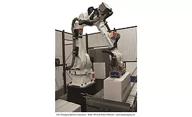 A-B-C Packaging robot palletizer