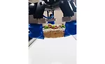 Soft Robotics pizza automation solutions