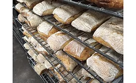 publican quality breads, chicago