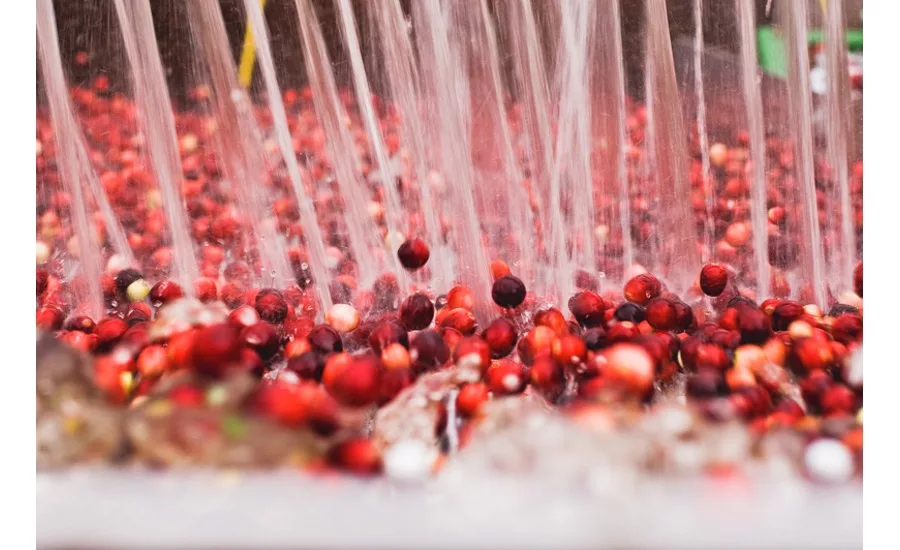 Organic cranberry juice powder from Fruit d'Or