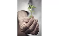 PureCircle Stevia extract PureCircle Stevia extract