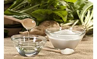 Sensus chicory root Sensus chicory root