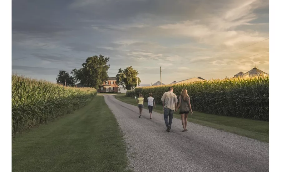 Bunge Certified Transitional corn ingredients