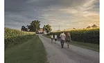 Bunge Certified Transitional corn ingredients