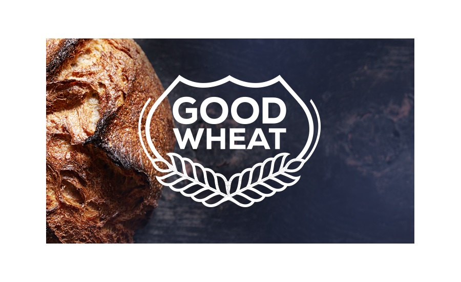 Arcadia Biosciences reduced gluten wheat
