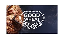 Arcadia Biosciences reduced gluten wheat