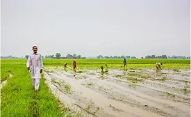 Farmers Friend Organic Brown Rice Syrups Launch in U.S. Market