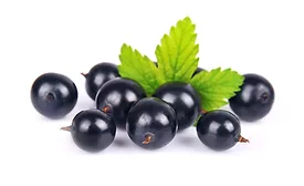 Frutarom Health Activeberry sports nutrition