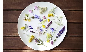 Comax Flavors Classic Floral Collection