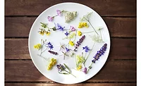 Comax Flavors Classic Floral Collection Comax Flavors Classic Floral Collection