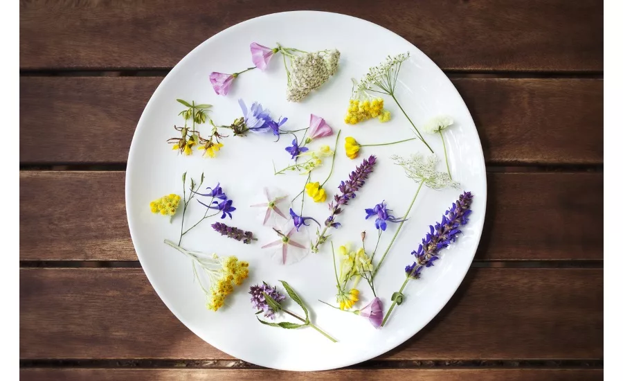 Comax Flavors Classic Floral Collection