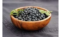 Fruit d’Or Wild Blueberry supply Fruit d’Or Wild Blueberry supply