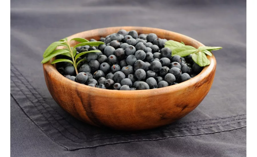 Fruit d’Or Wild Blueberry supply