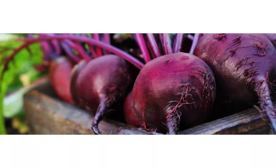 Florida Food Products fermented juices
