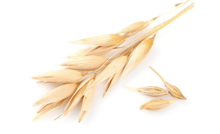 At IBIE 2019, Malt Products Corp. to Feature Enhanced OatRite™  Portfolio of Nutrient-Rich Sweeteners