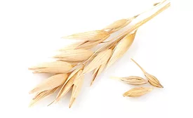 At IBIE 2019, Malt Products Corp. to Feature Enhanced OatRite™  Portfolio of Nutrient-Rich Sweeteners