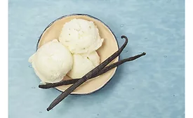Flavorchem vanilla enhancers
