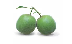  Layn launches new proprietary monk fruit strain: Super V Fruit Sub