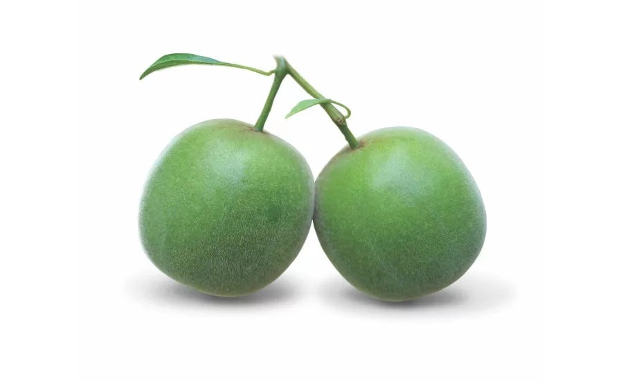 Layn launches new proprietary monk fruit strain: Super V Fruit Sub