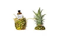 Abstrax Tech Launches Functional Flavors for Food & Beverage Brands Seeking Positive Effects Abstrax Tech Launches Functional Flavors for Food & Beverage Brands Seeking Positive Effects